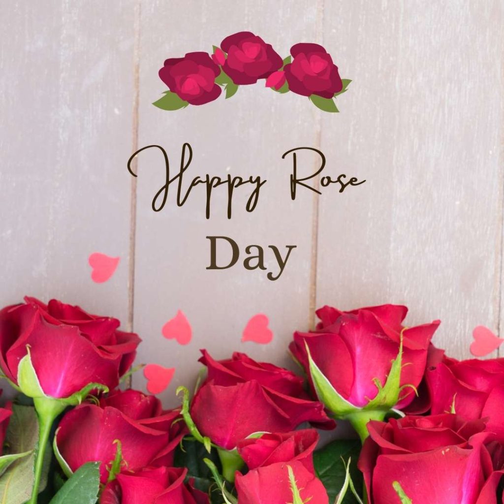 7 Feb happy rose day images