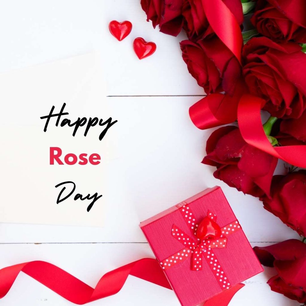 143+ Happy Rose Day Images 2023 | Romantic Rose Day Images - Wishing Image