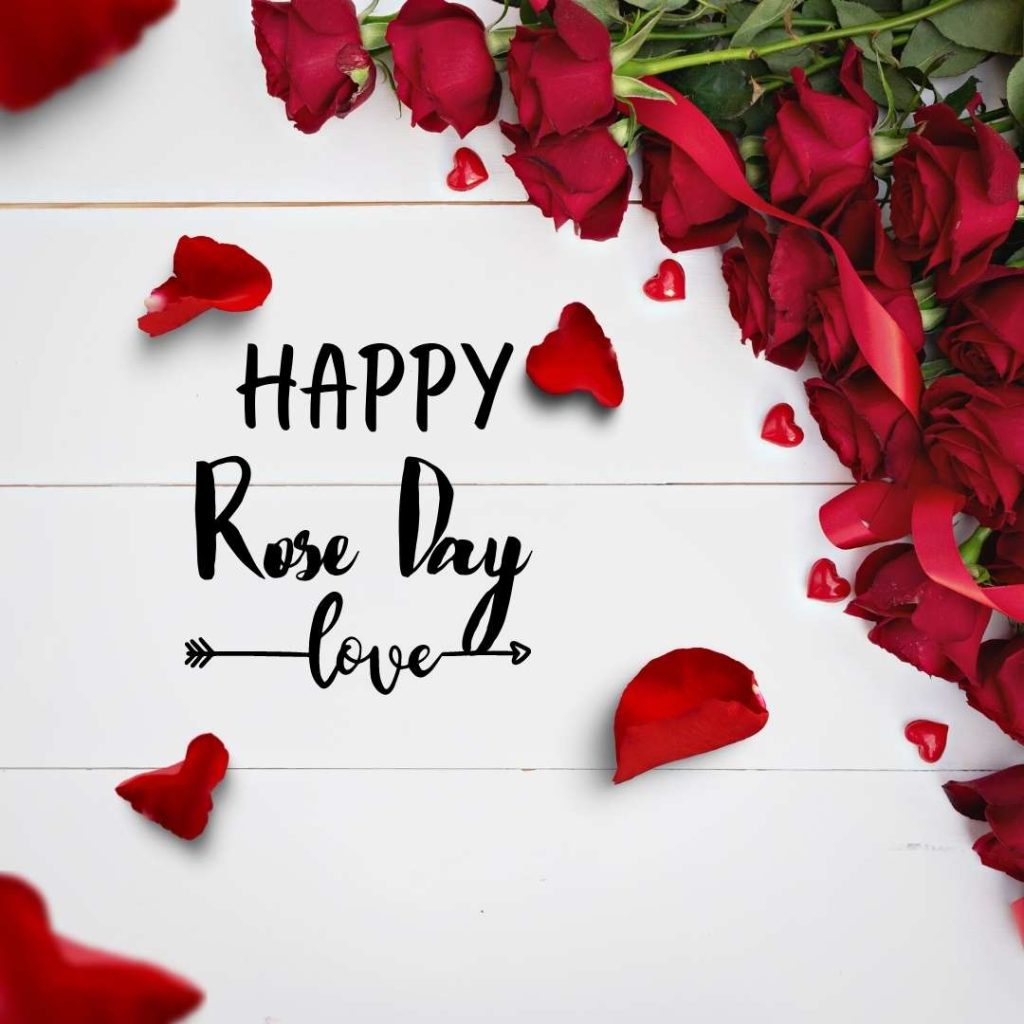 rose day special images