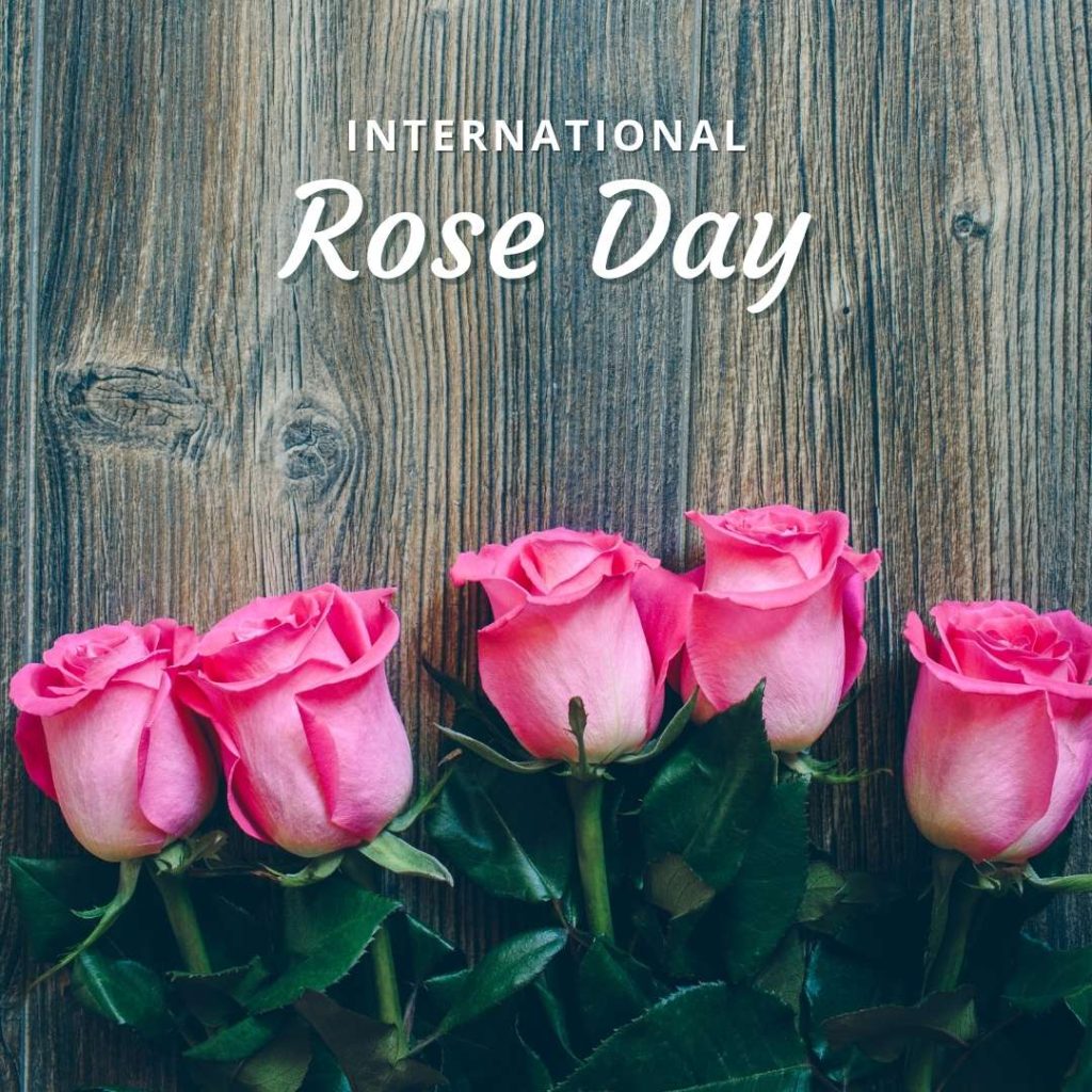 happy rose day 😘😘 GIFs • Pradeep Kumar (@14619004) on ShareChat