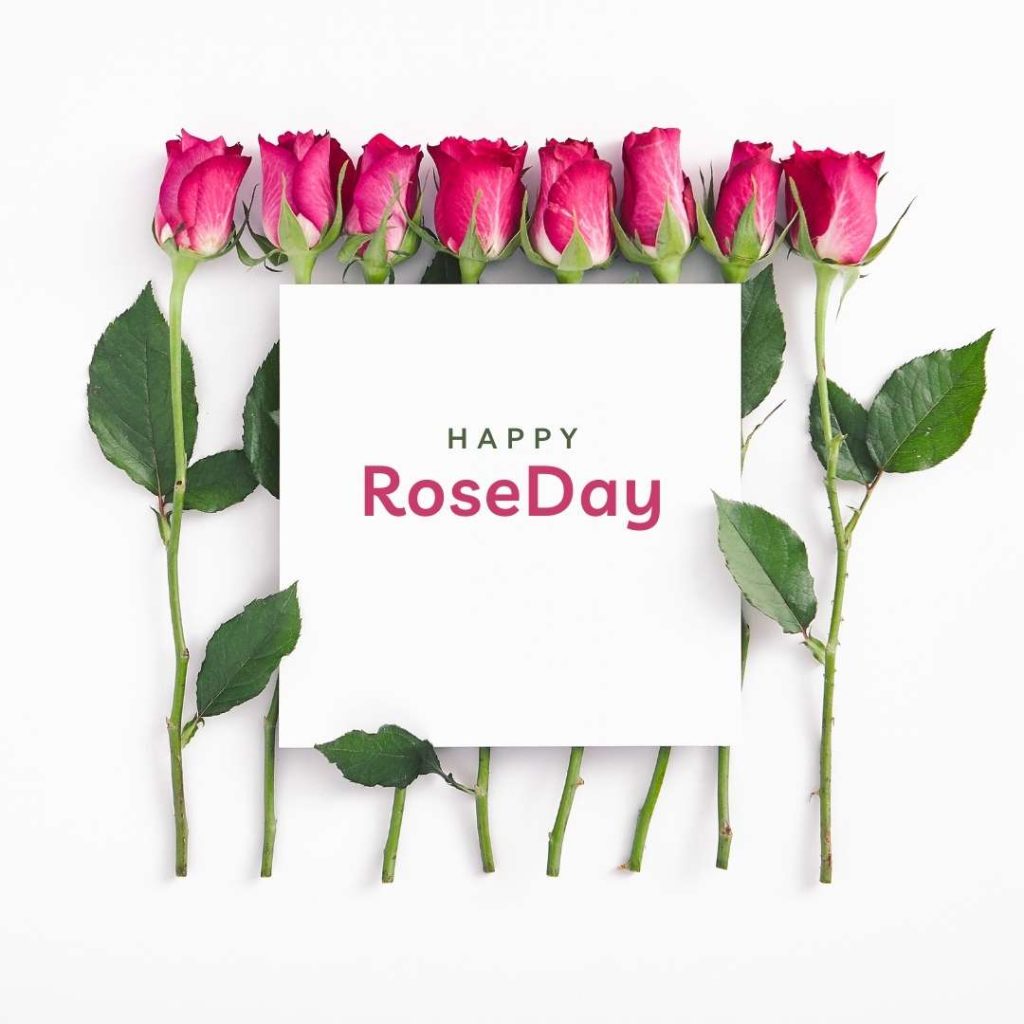 happy rose day images 2023
