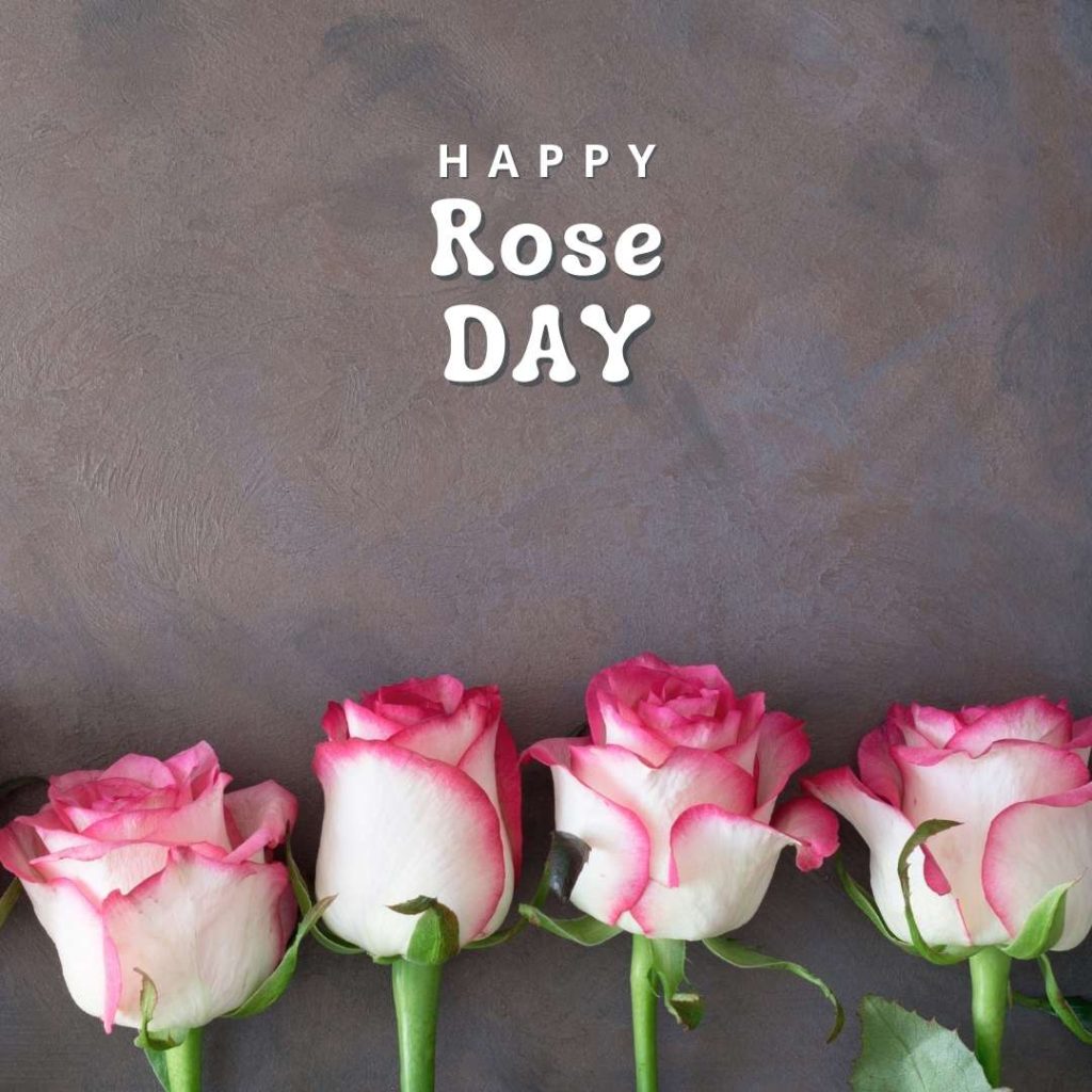 143+ Happy Rose Day Images 2023 | Romantic Rose Day Images ...