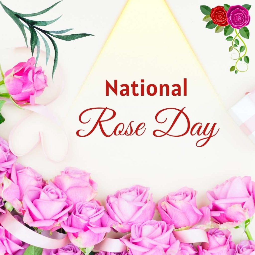 husband romantic rose day images